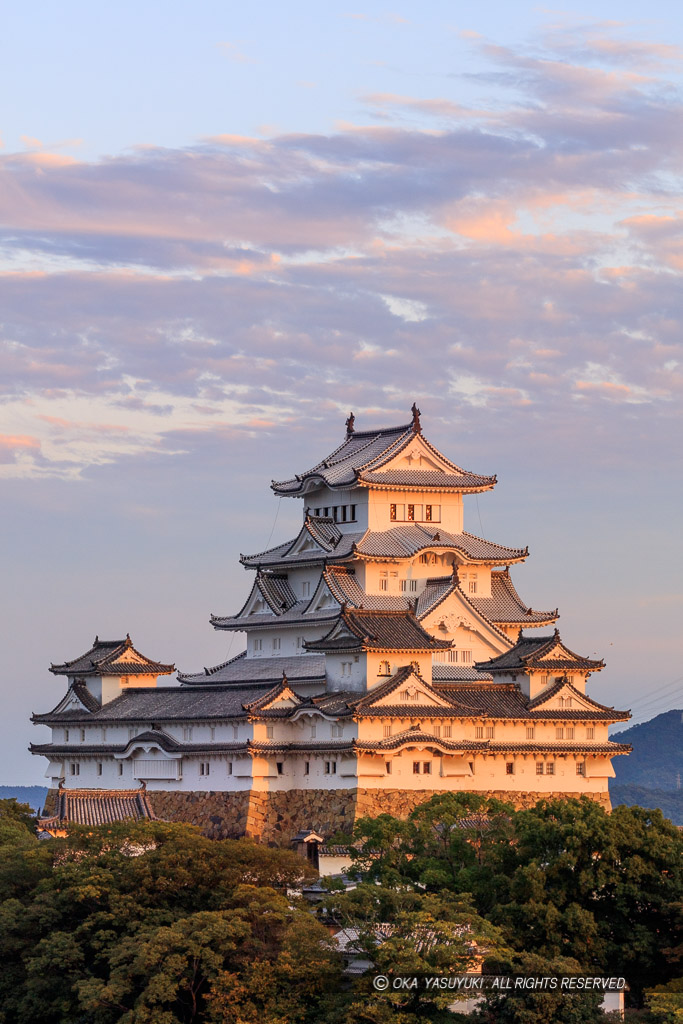 男山から見る姫路城夕景