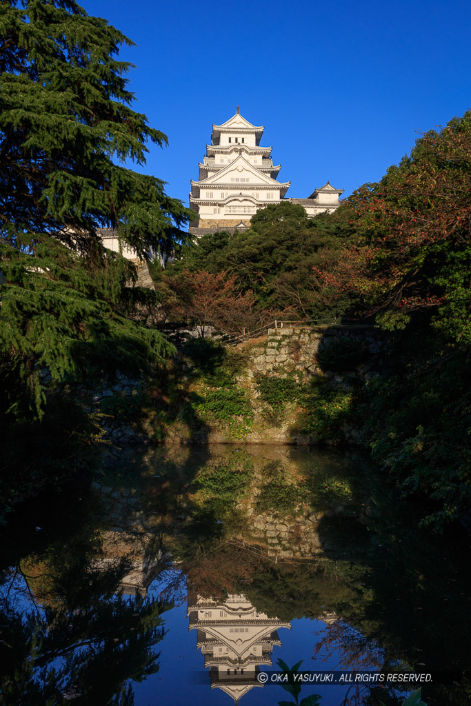 喜斎門跡付近から観た姫路城大天守東面