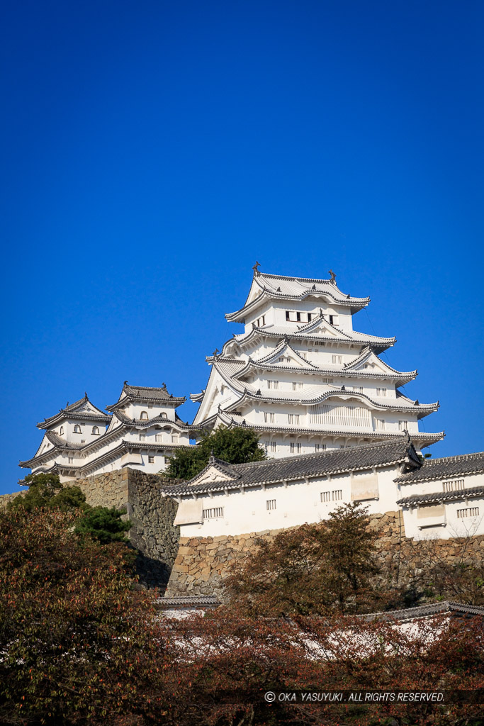 三の丸から姫路城天守を望む