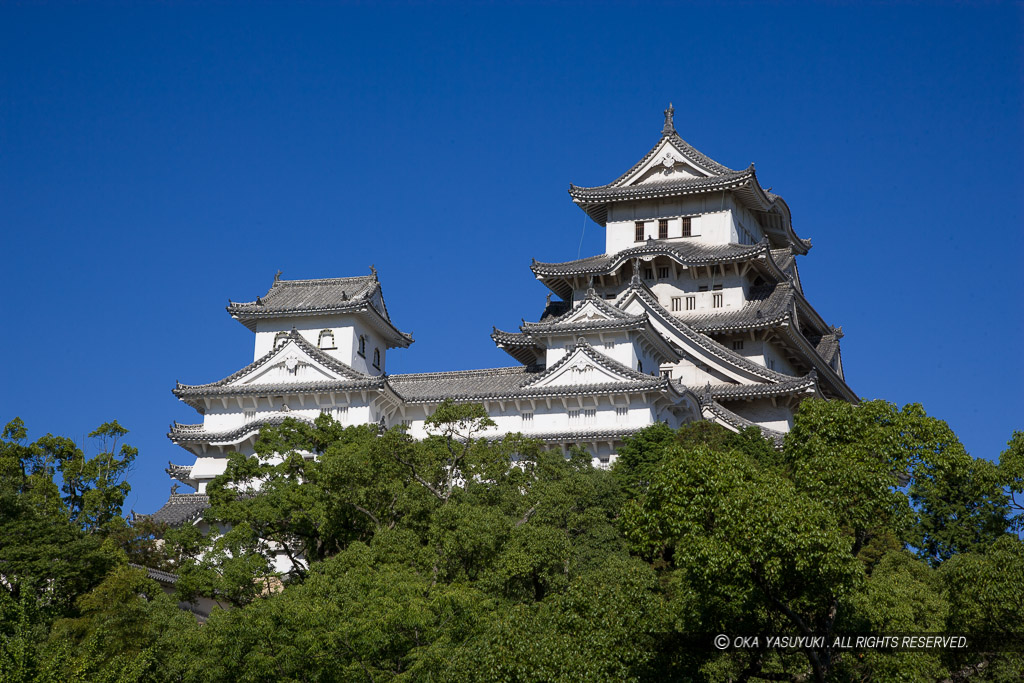 夏の姫路城