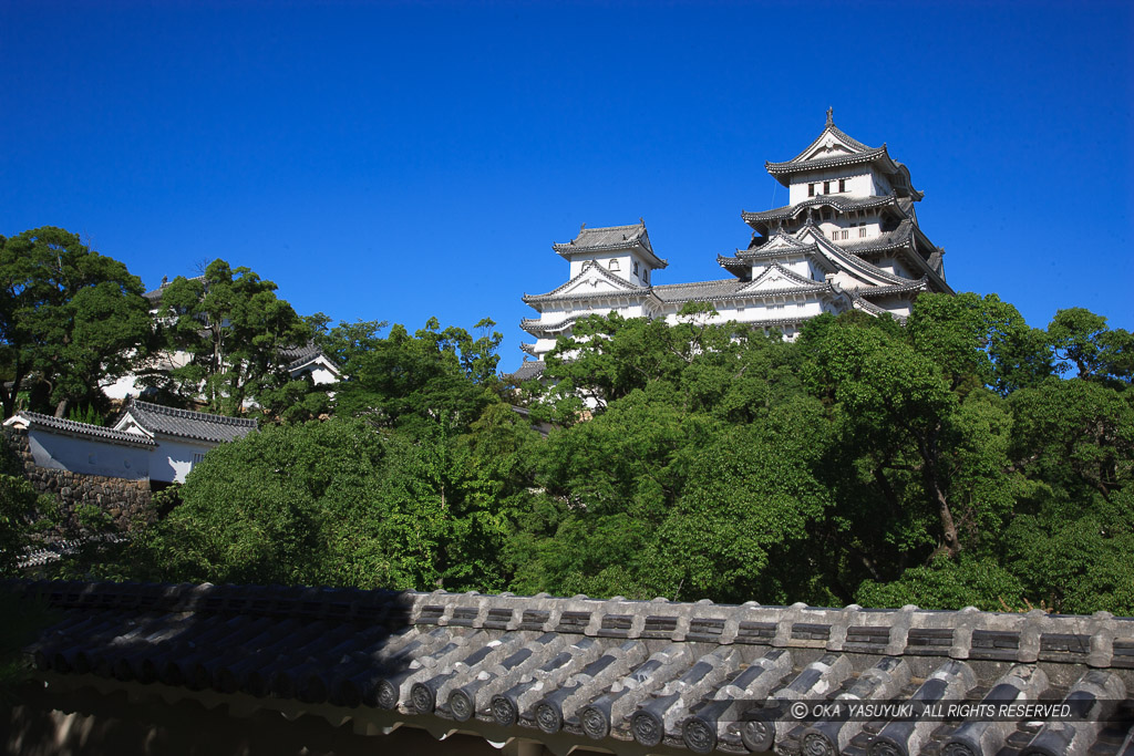 夏の姫路城