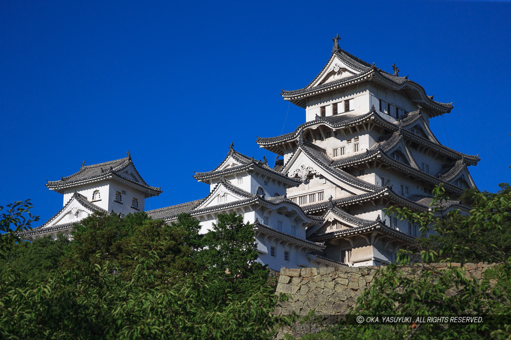 夏の姫路城