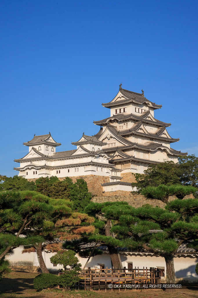 西の丸から望む天守（平成の修理前）