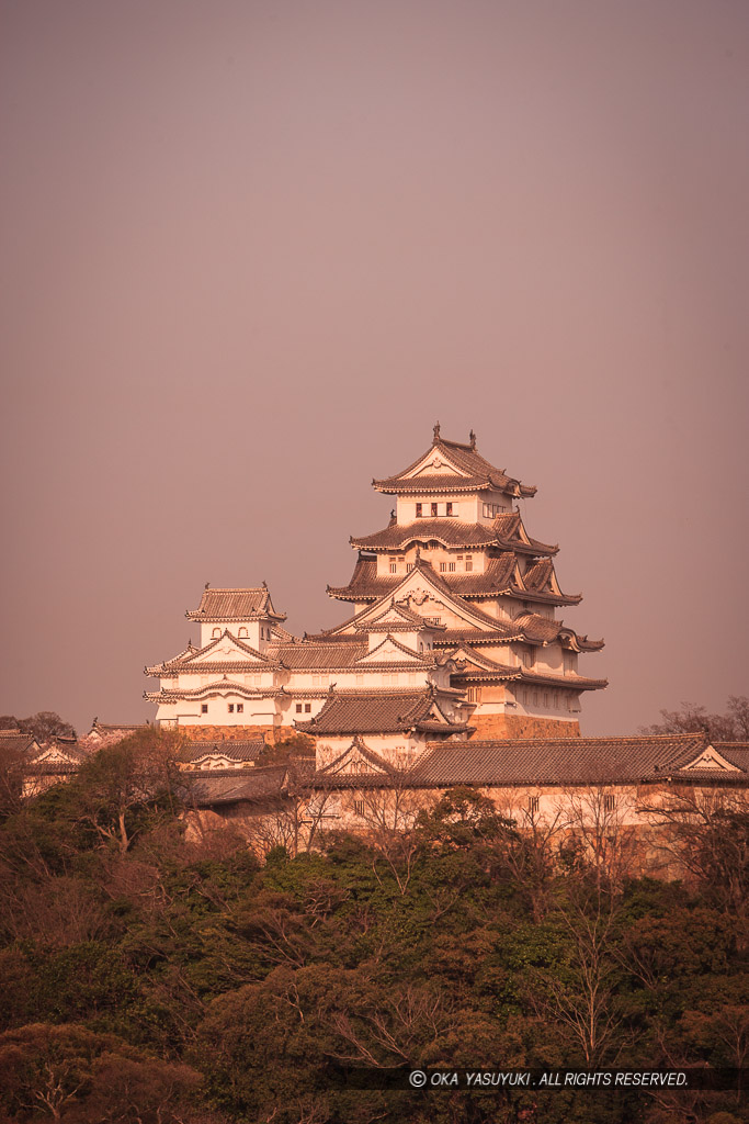 景福寺公園から望む姫路城