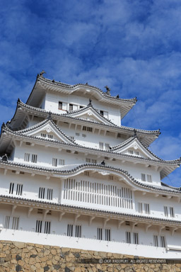 姫路城備前丸から天守を望む|高解像度画像サイズ:3301 x 4952 pixels|写真番号:1DX_7419|撮影:Canon EOS-1D X