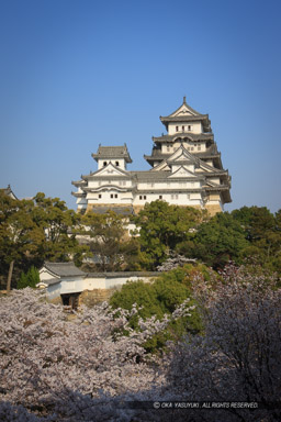 姫路城化粧櫓から天守群を望む（平成の修理前）｜高解像度画像サイズ：3635 x 5453 pixels｜写真番号：1P3J1051｜撮影：Canon EOS-1Ds Mark III