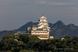 名古山霊苑から観る姫路城西面｜高解像度画像サイズ：8688 x 5792 pixels｜写真番号：5DSA0767｜撮影：Canon EOS 5DS