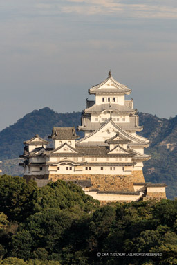 名古山霊苑から観る姫路城西面|高解像度画像サイズ:3748 x 5612 pixels|写真番号:5DSA0771|撮影:Canon EOS 5DS