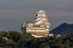 名古山霊苑から観る姫路城西面|高解像度画像サイズ:6749 x 4500 pixels|写真番号:5DSA0797|撮影:Canon EOS 5DS
