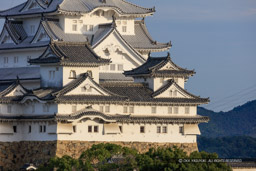 男山から見る姫路城｜高解像度画像サイズ：8406 x 5604 pixels｜写真番号：5DSA0817｜撮影：Canon EOS 5DS