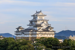 男山から見る姫路城｜高解像度画像サイズ：8688 x 5792 pixels｜写真番号：5DSA0820｜撮影：Canon EOS 5DS