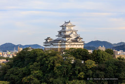 男山から見る姫路城｜高解像度画像サイズ：8688 x 5792 pixels｜写真番号：5DSA0824｜撮影：Canon EOS 5DS