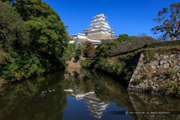 姫路市立動物園から天守を望む｜高解像度画像サイズ：8489 x 5659 pixels｜写真番号：5DSA1195｜撮影：Canon EOS 5DS