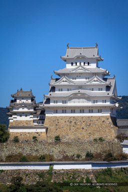 イーグレ姫路より望む姫路城|高解像度画像サイズ:5748 x 8622 pixels|写真番号:5DSA1414|撮影:Canon EOS 5DS