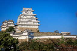 姫路城三ノ丸から望む天守群|高解像度画像サイズ:8682 x 5788 pixels|写真番号:5DSA1461|撮影:Canon EOS 5DS