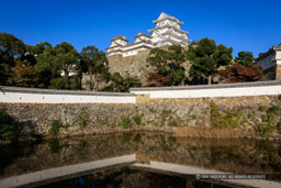 姫路城内の三国堀から天守を望む｜高解像度画像サイズ：8383 x 5589 pixels｜写真番号：5DSA1477｜撮影：Canon EOS 5DS