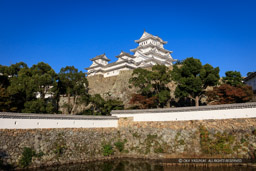 姫路城内の三国堀から天守を望む｜高解像度画像サイズ：8688 x 5792 pixels｜写真番号：5DSA1488｜撮影：Canon EOS 5DS