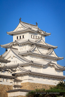 姫路城西の丸から天守群を望む|高解像度画像サイズ:5675 x 8512 pixels|写真番号:5DSA1523|撮影:Canon EOS 5DS