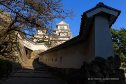 姫路城はの門に至る土塀｜高解像度画像サイズ：8427 x 5618 pixels｜写真番号：5DSA1541｜撮影：Canon EOS 5DS