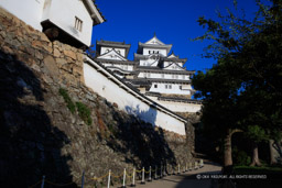 姫路城はの門から望む天守群|高解像度画像サイズ:8688 x 5792 pixels|写真番号:5DSA1572|撮影:Canon EOS 5DS