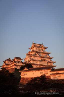 三ノ丸から観た姫路城の夕景|高解像度画像サイズ:5649 x 8474 pixels|写真番号:5DSA1617|撮影:Canon EOS 5DS