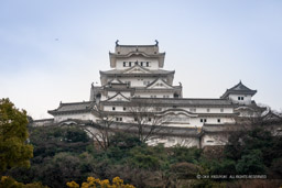 姫路城の北側からの眺め｜高解像度画像サイズ：5849 x 3900 pixels｜写真番号：IMG_0218｜撮影：Canon EOS KISS M