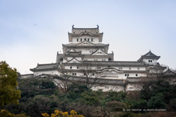 姫路城の北側からの眺め|高解像度画像サイズ:5849 x 3900 pixels|写真番号:IMG_0218|撮影:Canon EOS KISS M