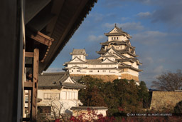 姫路城西の丸から望む(平成の修理前)|高解像度画像サイズ:4686 x 3124 pixels|写真番号:VJ7Z0284|撮影:Canon EOS-1Ds Mark II
