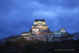 姫路城ライトアップ|高解像度画像サイズ:4803 x 3202 pixels|写真番号:VJ7Z0602|撮影:Canon EOS-1Ds Mark II