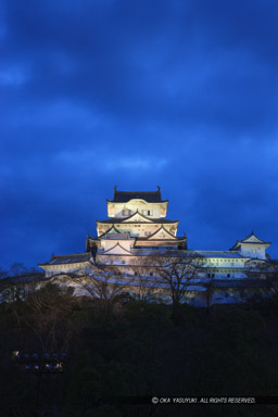 姫路城ライトアップ|高解像度画像サイズ:3277 x 4915 pixels|写真番号:VJ7Z0605|撮影:Canon EOS-1Ds Mark II