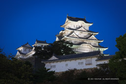 姫路城ライトアップ|高解像度画像サイズ:4803 x 3202 pixels|写真番号:VJ7Z2824|撮影:Canon EOS-1Ds Mark II