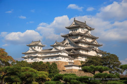 西の丸から望む天守(平成の修理前)|高解像度画像サイズ:4992 x 3328 pixels|写真番号:VJ7Z3160|撮影:Canon EOS-1Ds Mark II