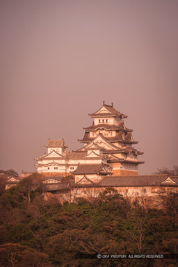 景福寺公園から望む姫路城｜高解像度画像サイズ：3153 x 4729 pixels｜写真番号：VJ7Z4796｜撮影：Canon EOS-1Ds Mark II