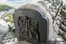 ｜高解像度画像サイズ：3072 x 2048 pixels｜写真番号：188-8841_IMG｜撮影：Canon EOS D60