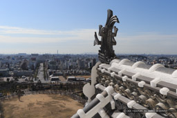 大天守より南を望む｜高解像度画像サイズ：4781 x 3188 pixels｜写真番号：1DX_7398｜撮影：Canon EOS-1D X