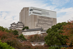 天空の白鷺｜高解像度画像サイズ：5435 x 3624 pixels｜写真番号：1P3J1140｜撮影：Canon EOS-1Ds Mark III