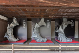 大天守の鯱・江戸時代・明治時代・昭和時代|高解像度画像サイズ:5616 x 3744 pixels|写真番号:1P3J1189|撮影:Canon EOS-1Ds Mark III