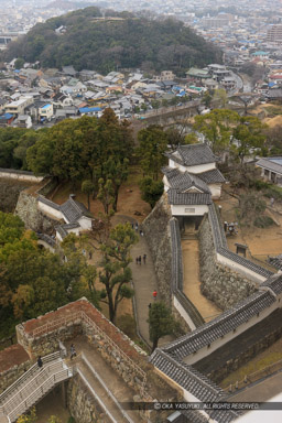 天空の白鷺から男山の眺望|高解像度画像サイズ:3591 x 5386 pixels|写真番号:1P3J3401|撮影:Canon EOS-1Ds Mark III