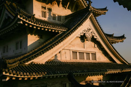 大千鳥破風・屋根への出口・大天守・3階|高解像度画像サイズ:4803 x 3202 pixels|写真番号:VJ7Z3386|撮影:Canon EOS-1Ds Mark II
