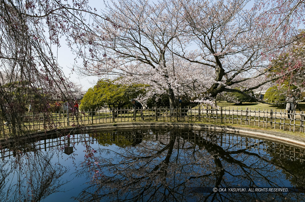 貯水地