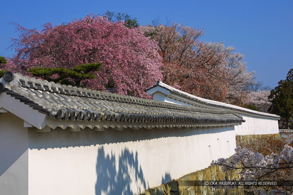 西の丸城内側土塀