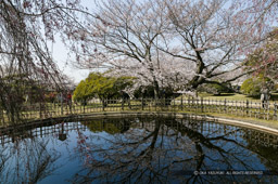 貯水地｜高解像度画像サイズ：3906 x 2599 pixels｜写真番号：100-3415S53B｜撮影：Canon EOS-1DS