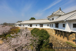 ヨの渡櫓・ヌの櫓・カの渡櫓｜高解像度画像サイズ：5616 x 3744 pixels｜写真番号：1P3J0556｜撮影：Canon EOS-1Ds Mark III