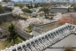 化粧櫓から菱の門を望む|高解像度画像サイズ:5616 x 3744 pixels|写真番号:1P3J0559|撮影:Canon EOS-1Ds Mark III