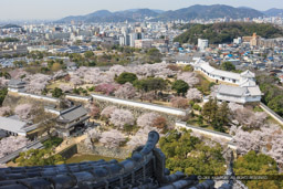 姫路城大天守より春の西の丸を望む｜高解像度画像サイズ：5494 x 3663 pixels｜写真番号：1P3J0593｜撮影：Canon EOS-1Ds Mark III