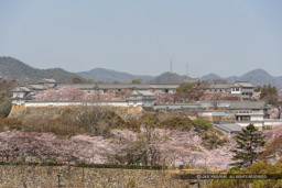 西の丸全景｜高解像度画像サイズ：4873 x 3249 pixels｜写真番号：VJ7Z4647｜撮影：Canon EOS-1Ds Mark II