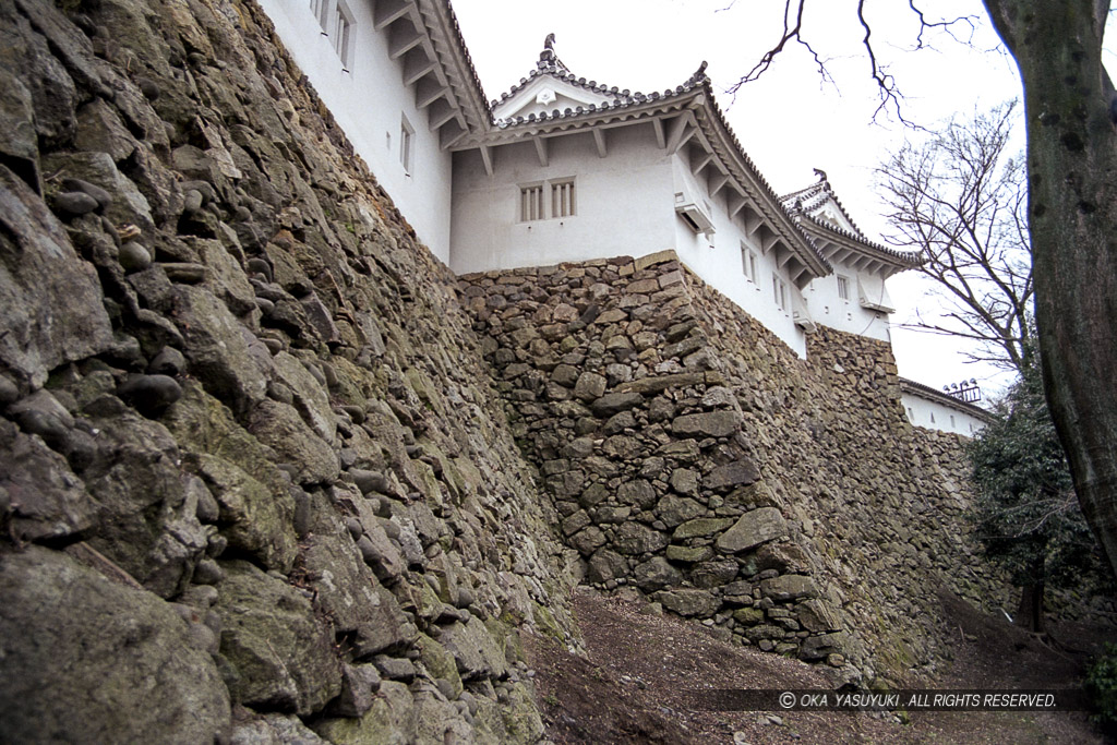 本丸北側の秀吉時代の石垣・ハの渡櫓北側