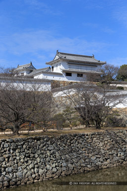 いの門へ至る登城路｜高解像度画像サイズ：3456 x 5184 pixels｜写真番号：1DX_7438｜撮影：Canon EOS-1D X