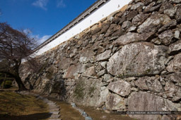 秀吉時代の石垣｜高解像度画像サイズ：8688 x 5792 pixels｜写真番号：5DSA8097｜撮影：Canon EOS 5DS