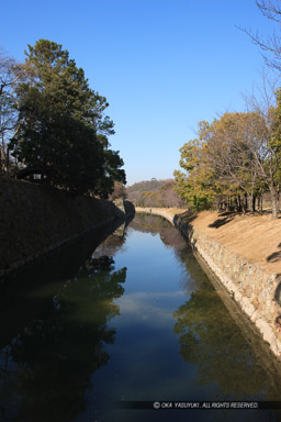 内堀｜高解像度画像サイズ：3328 x 4992 pixels｜写真番号：VJ7Z0608｜撮影：Canon EOS-1Ds Mark II